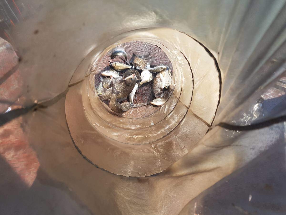 20190506_100715.jpg